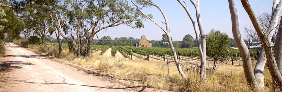 Vineyard_and_Church-web.jpg